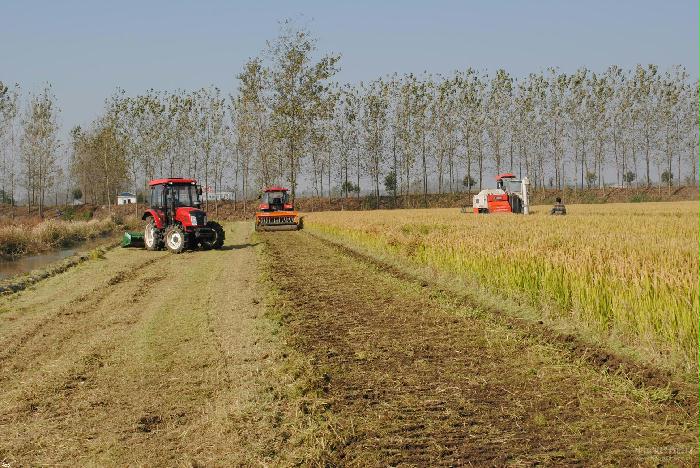 登海种业获得发明专利授权：“秸秆联合处理设备、总成及流程”