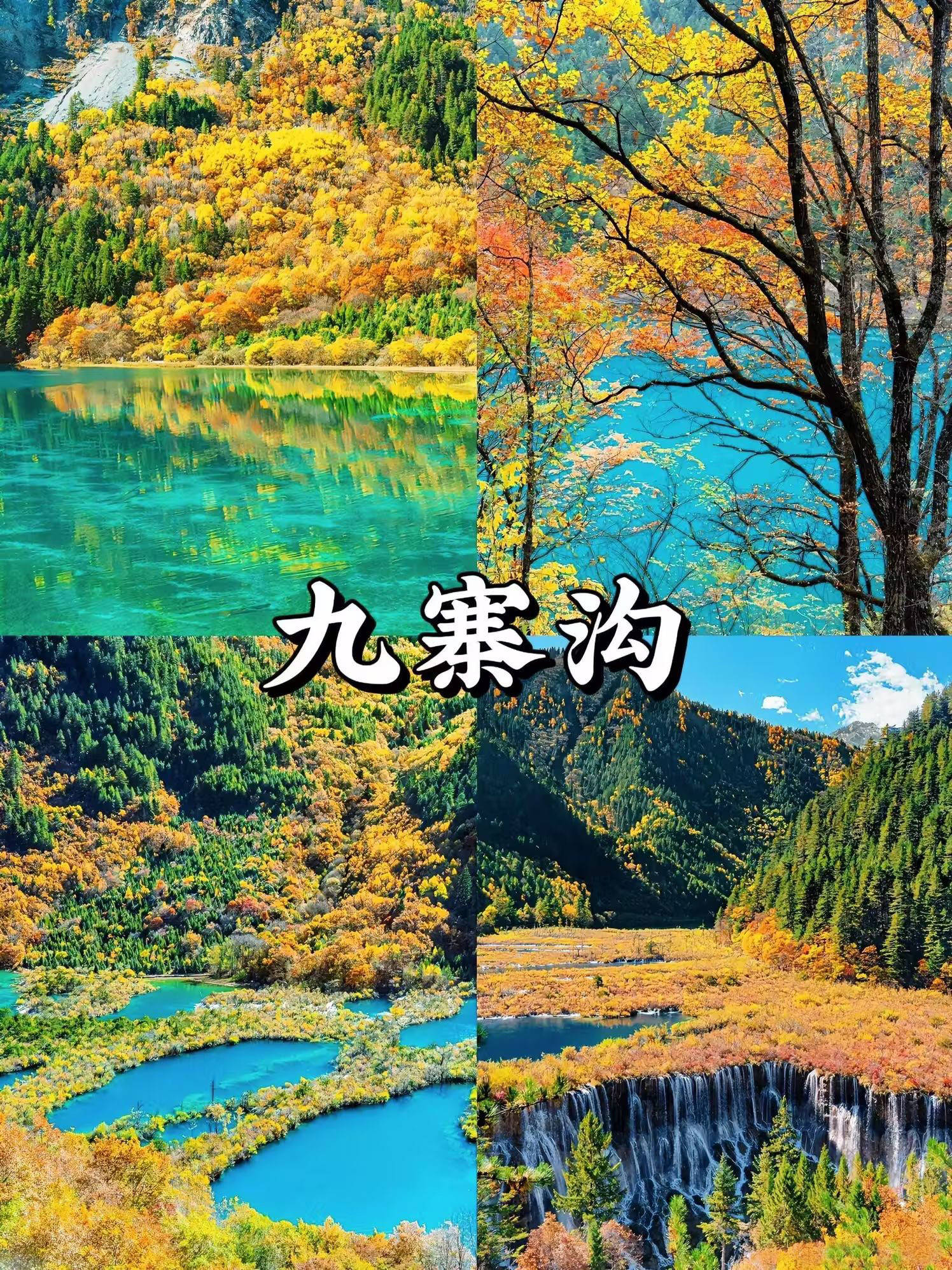九寨沟景区:10月23日至26日门票预订均已达到最大承载量