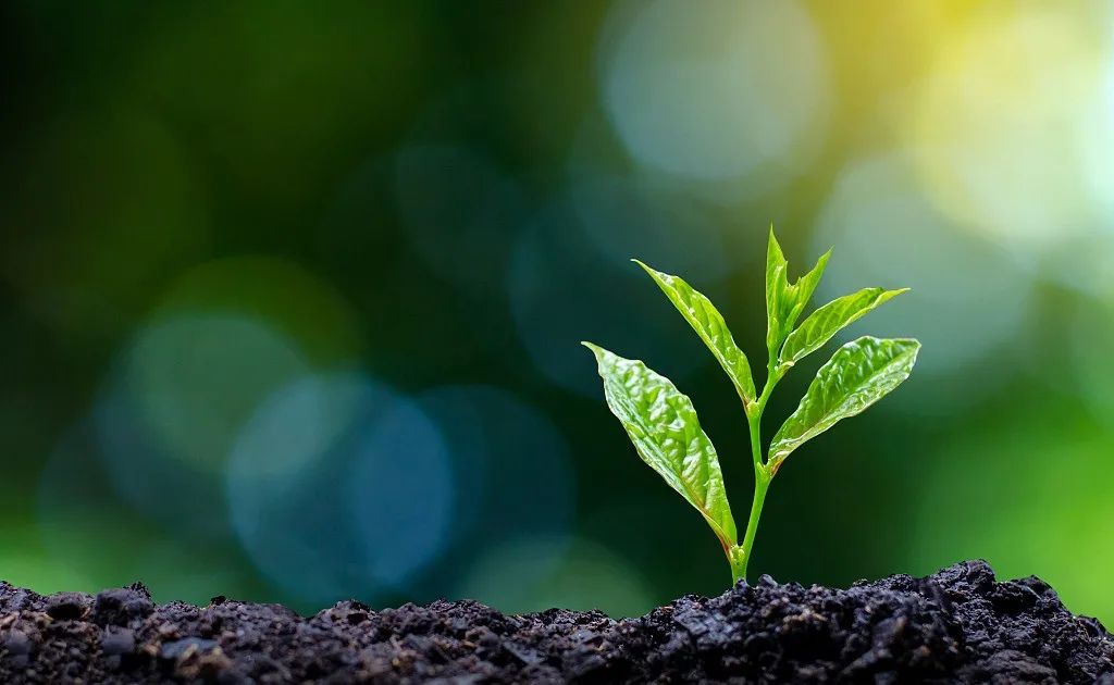 《中国绿色GDP绩效评估报告(2025年全国卷)》正式发布