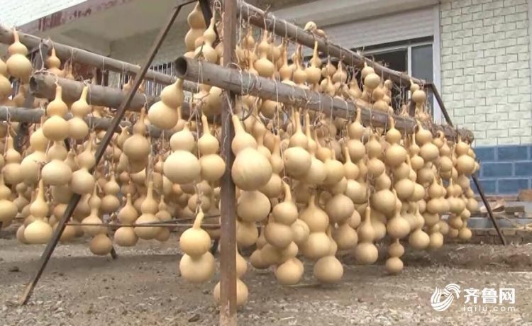 “中华葫芦第一村”是如何炼成的