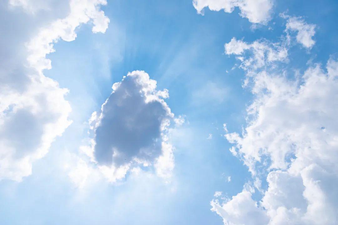 佣金还是抽成,这是一个问题|蔚言大义