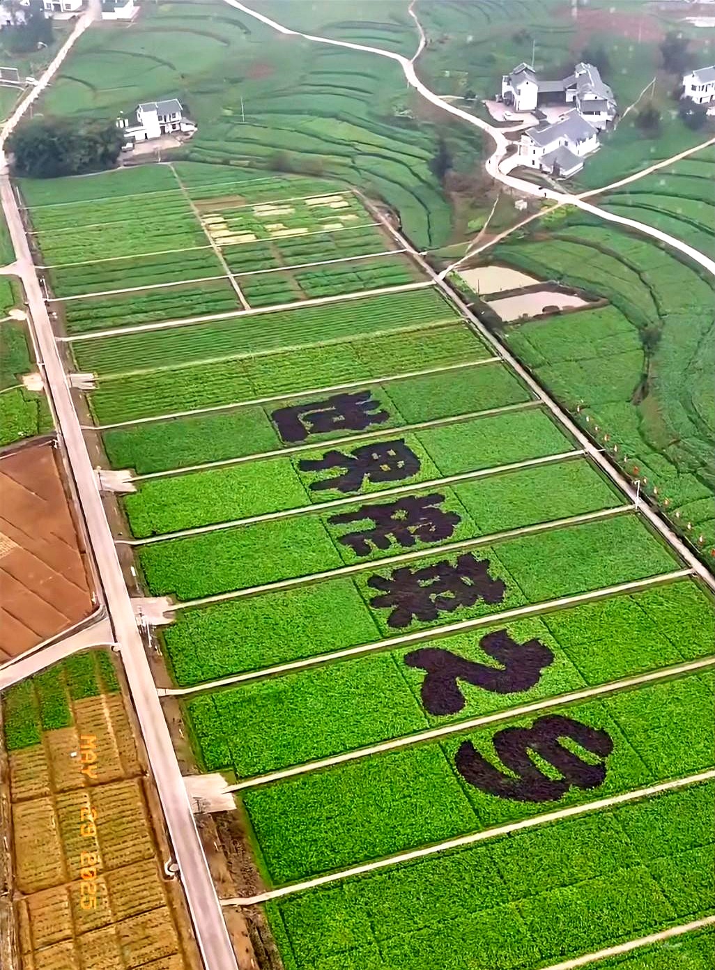 涪陵榨菜2025年前三季度营收、净利双增长 终止收购味滋美51%股权