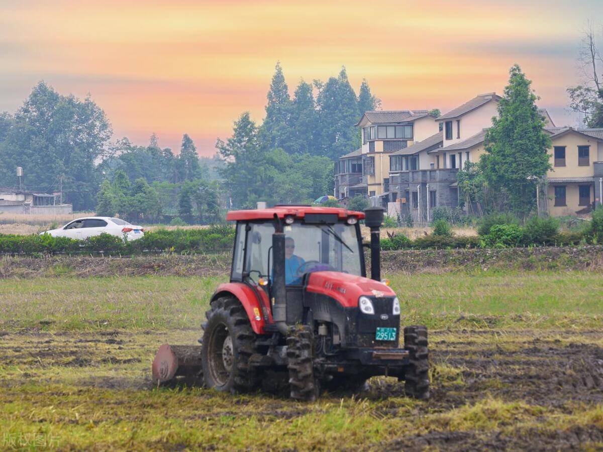 新华鲜报|硬气的种子,智慧的农具!杨凌农高会照见农业未来