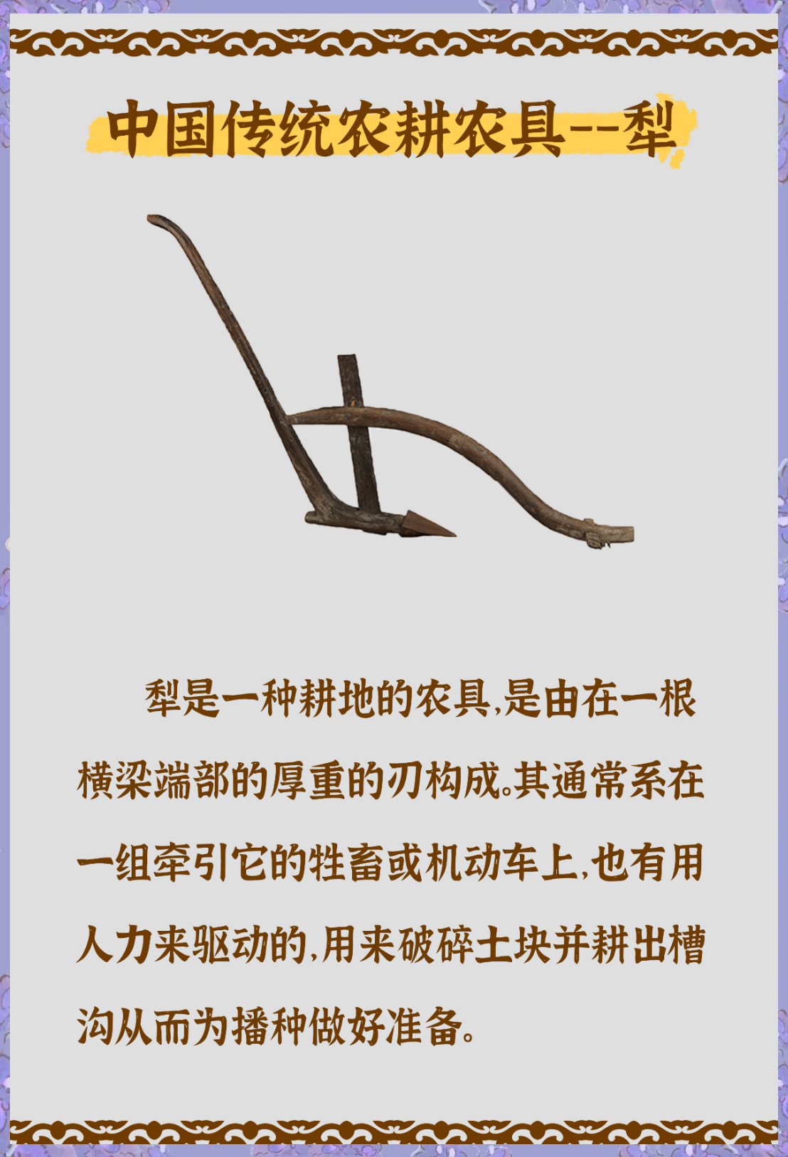 新华鲜报|硬气的种子,智慧的农具!杨凌农高会照见农业未来