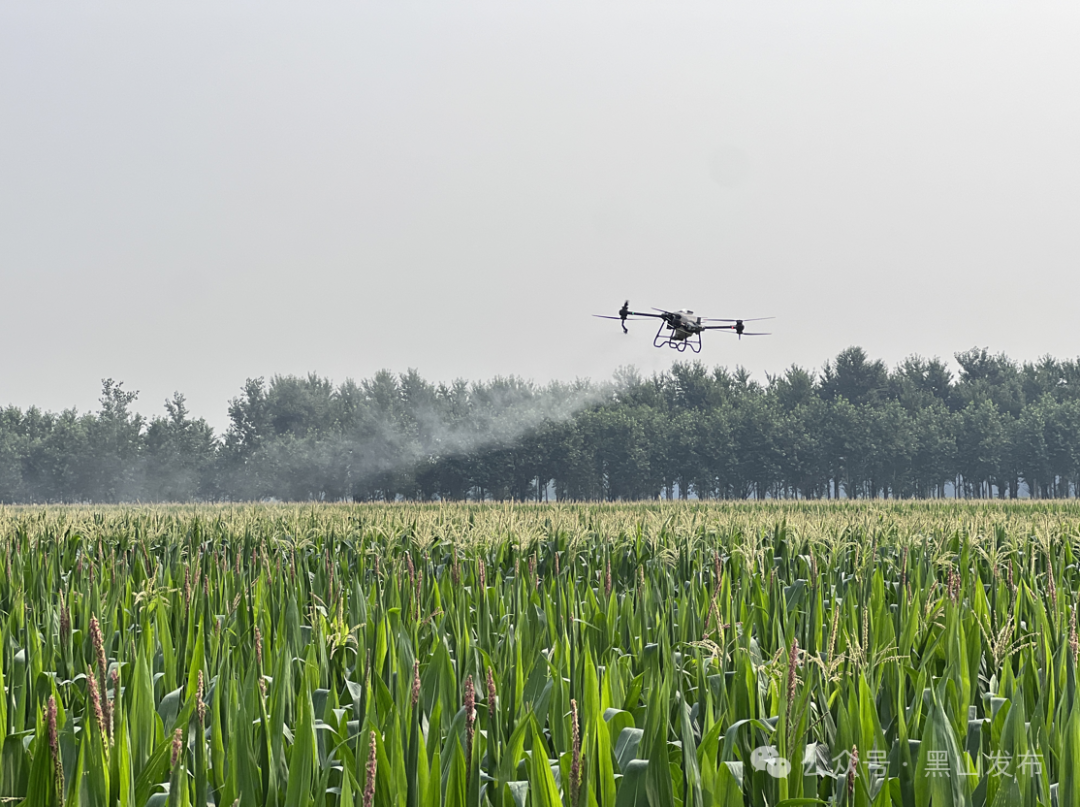 震安科技：目前交易双方正在积极推进相关工作