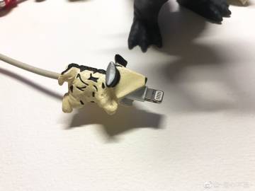 聚焦神二十一：小鼠“飞天”记