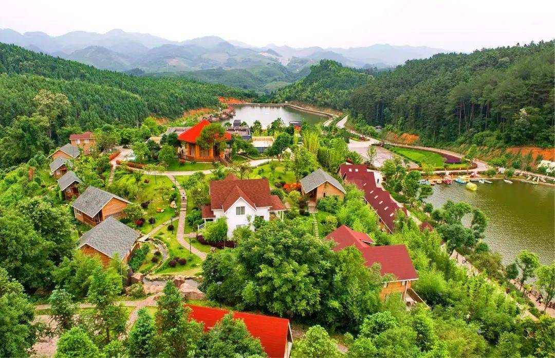 点面结合深耕绿色金融 金元证券勇担“动力引擎”重任