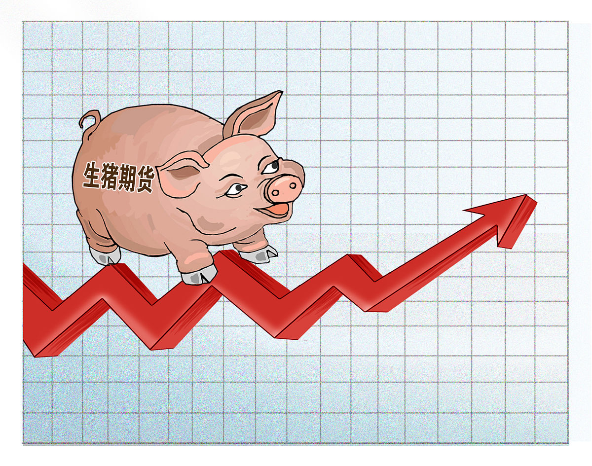 农业农村部：全国农产品批发市场猪肉平均价格为17.73元/公斤 比昨天上升0.6%