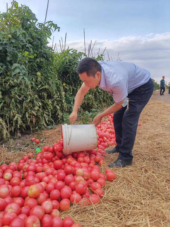 新疆银行变更注册资本方案获批,募集股份43.17亿股