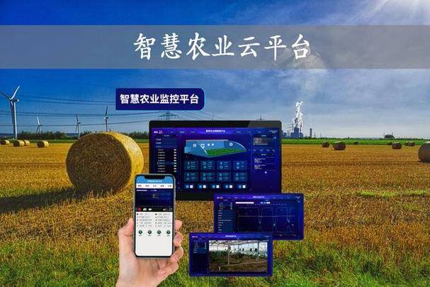 机械化助力秋粮加速归仓 各地加快农业生产共绘神州大地好“丰”景