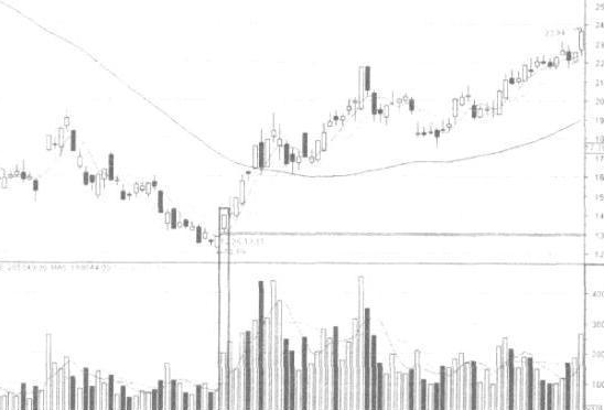 本周2只新股申购，全钢巨胎大厂即将登陆A股