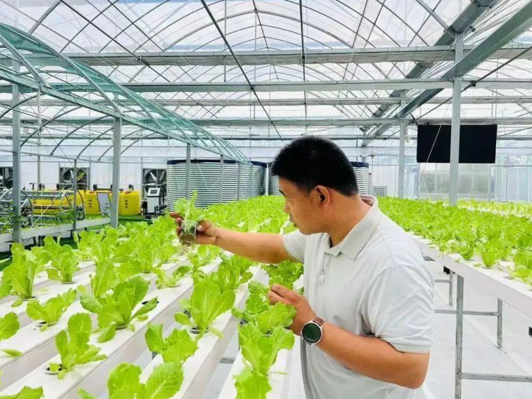 高质量发展看中国丨稻田里的“科技范” 引领现代种植新风向