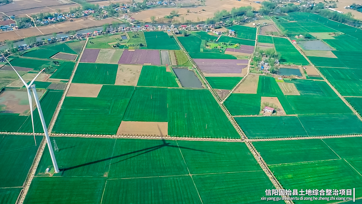 高质量发展看中国丨稻田里的“科技范” 引领现代种植新风向