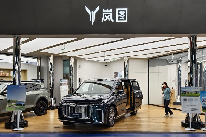 武汉艾米森生命科技股份有限公司向港交所递交上市申请