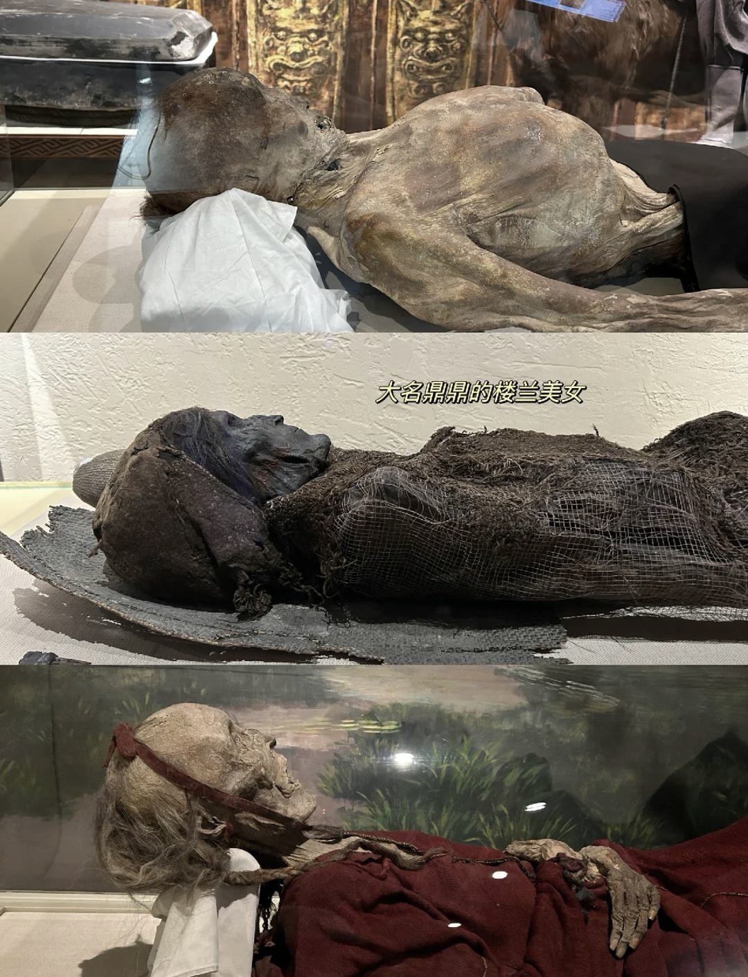 看完新疆美景，来博物馆感受文物的斑斓