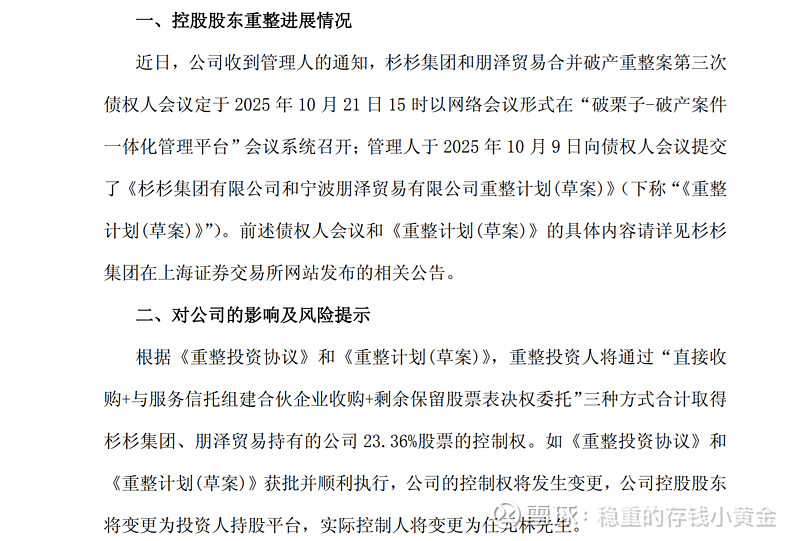 杉杉股份重整草案遭否决 TCL科技入主计划遇阻
