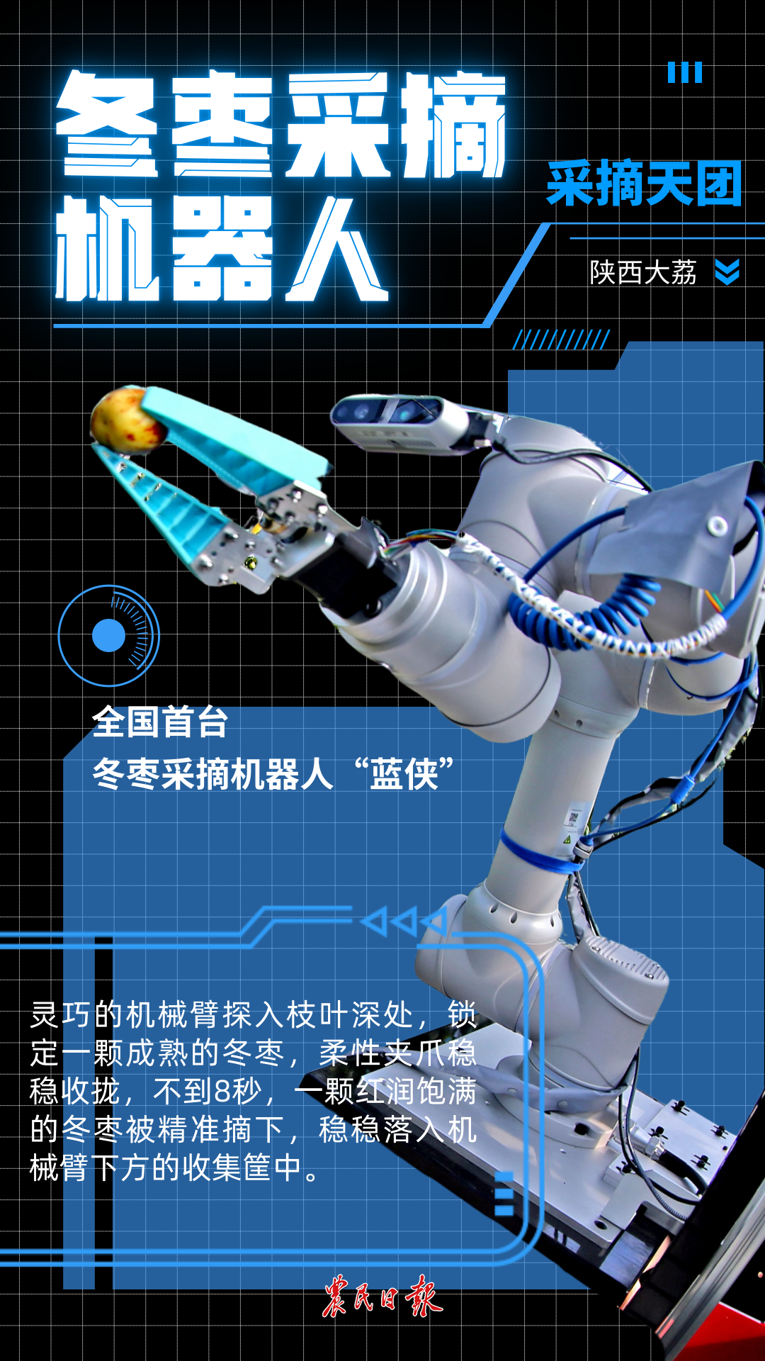 现场丨机器人“争奇斗艳”竞技高交会