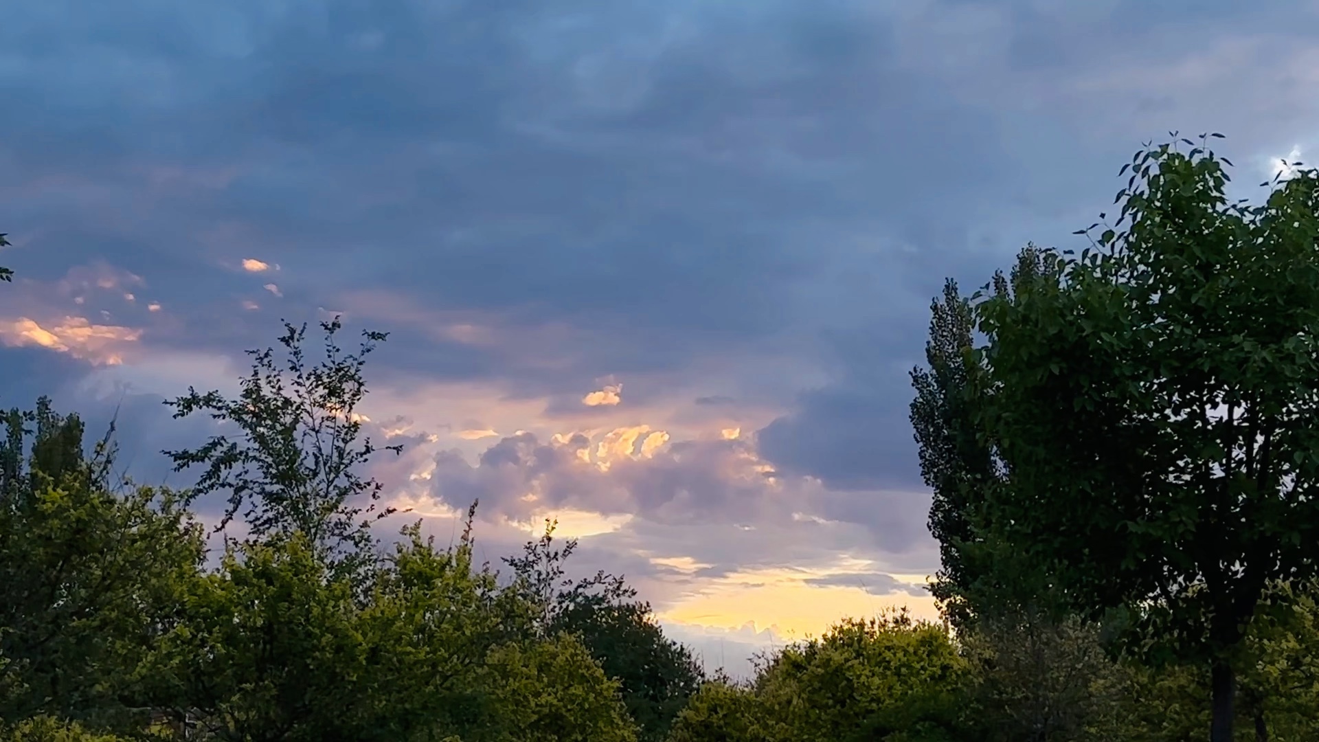 中欧朱天:企业家们既要忙着赶路,也需抬头看路