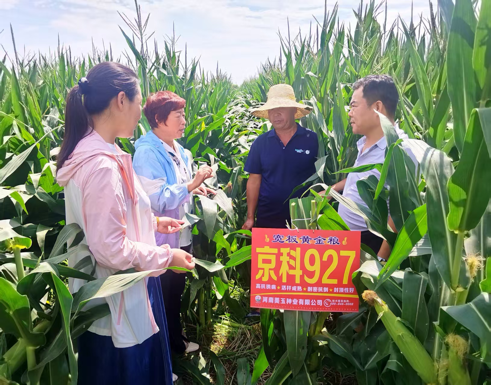 政策科技协同深耕细作20年中国刷新百万亩级玉米单产纪录