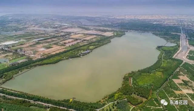 瞭望丨何时摆脱遥控器