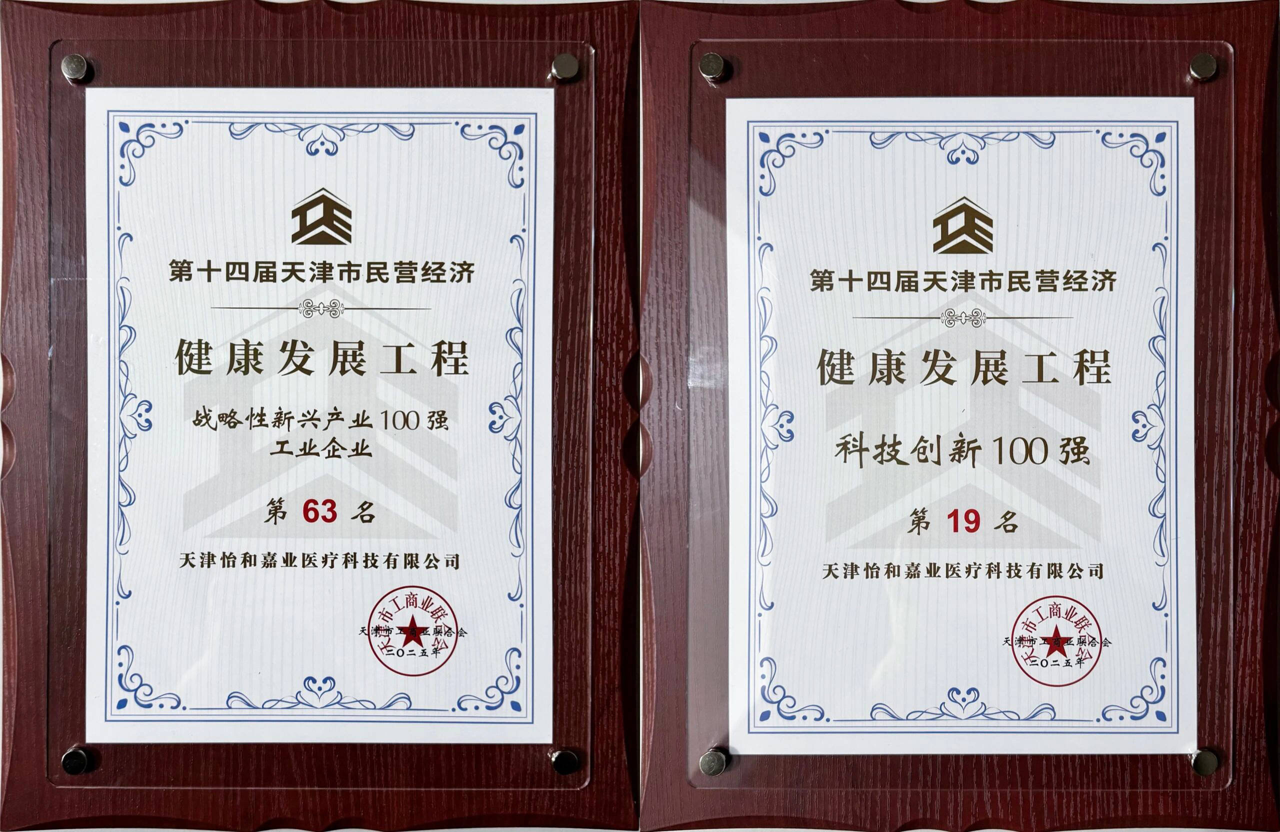 BMC瑞迈特天津子公司获双百强荣誉,创新实力再获权威肯定