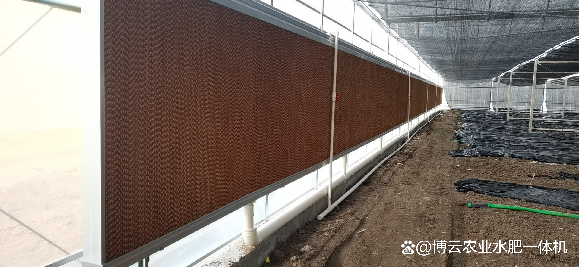 江苏博云：公司产品目前没有涉及此领域