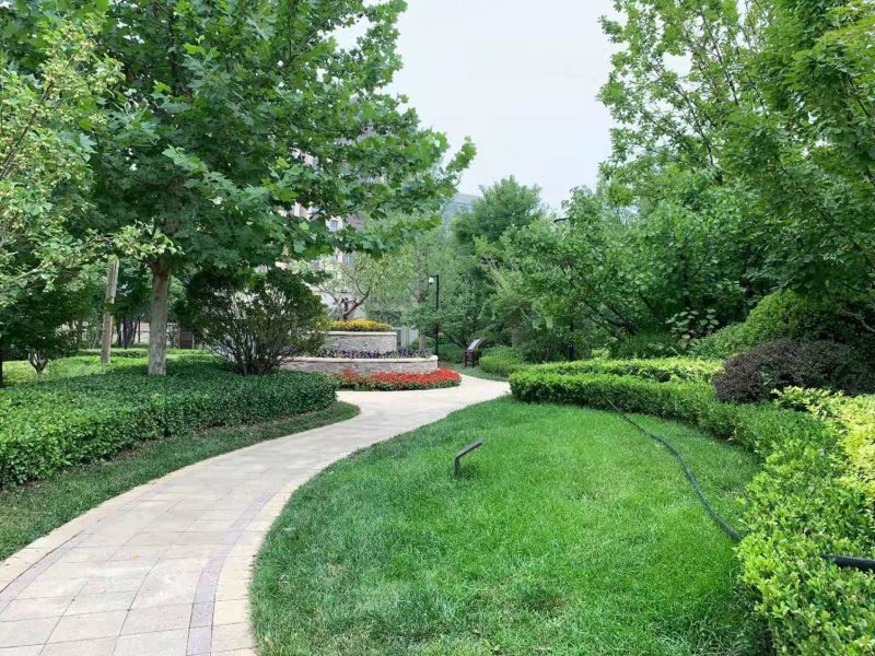 中粮科工：子公司华商国际专注冰雪设计