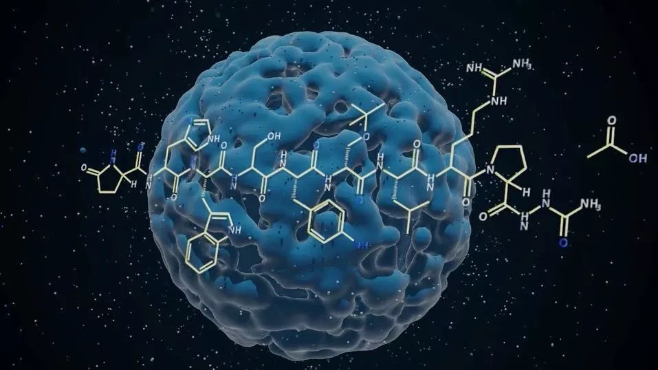 人福医药：二甲磺酸利右苯丙胺胶囊上市许可申请获受理