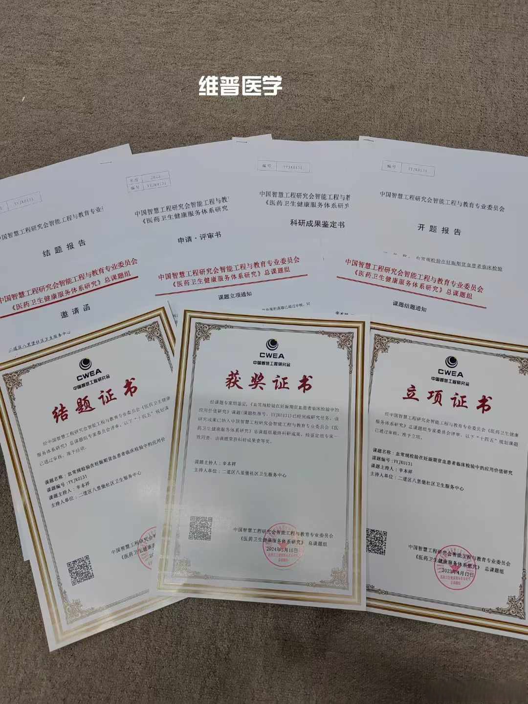 属于好奇心的荣耀！10项“严肃又有趣”的科研成果获菠萝科学奖