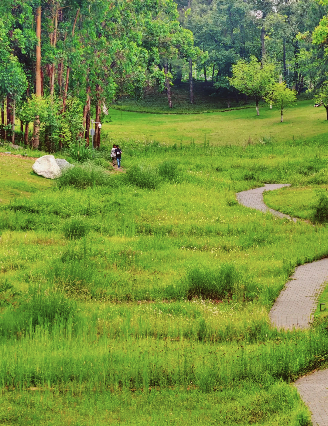 永安林业录得6天4板