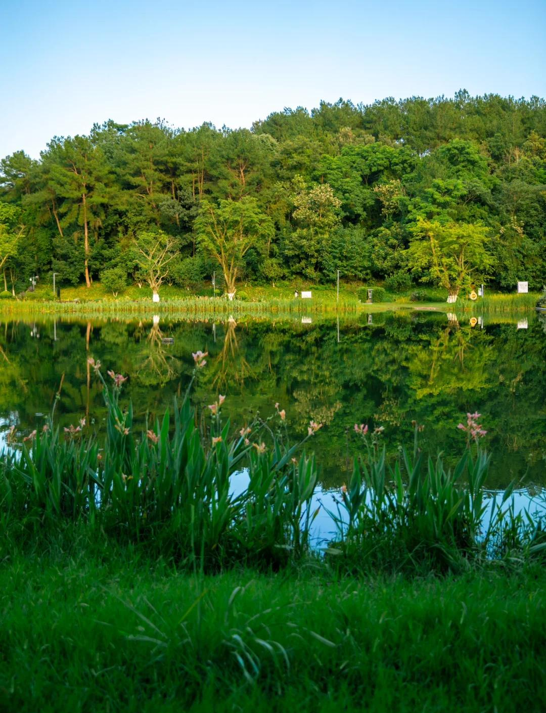 永安林业录得6天4板