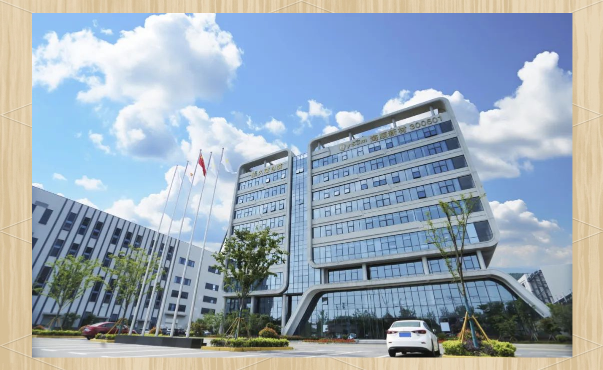 海顺新材：大甲的注销工作正在有序推进中