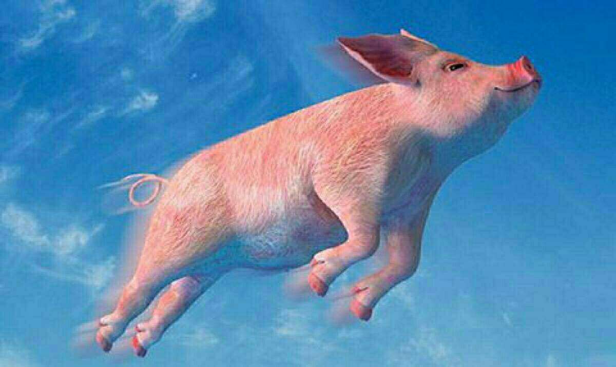 从等风来到风口之上,一家飞控系统公司的五年