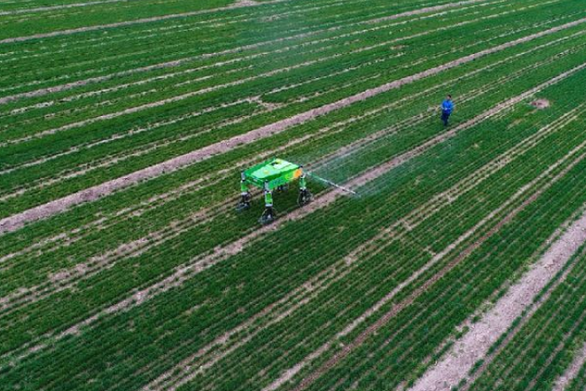 益生股份：引种计划因禽流感暂停