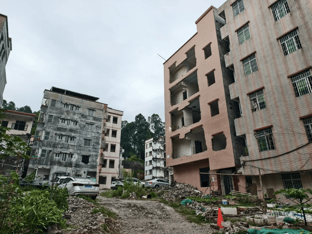 加速推进 广州累计发放房票2931张