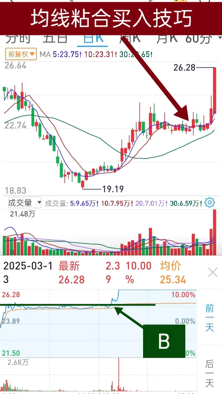 202只北交所股票今日上涨,2只涨停