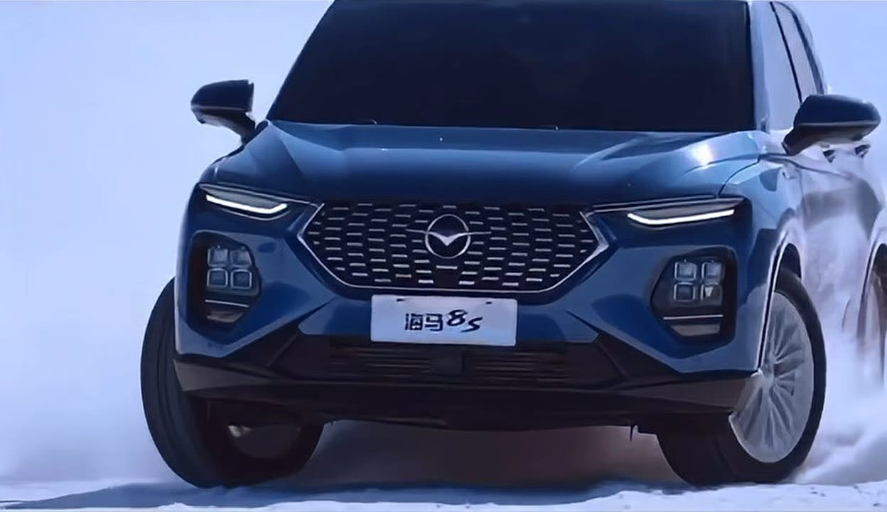 海马汽车：截至2026年1月9日股东人数是213,161