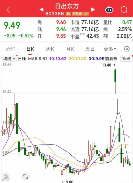 605255，连续跌停又涨停！刚选举产生董事长，火速被上交所问询