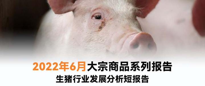 招商证券:产能重启去化,下半年猪价或逐步回暖