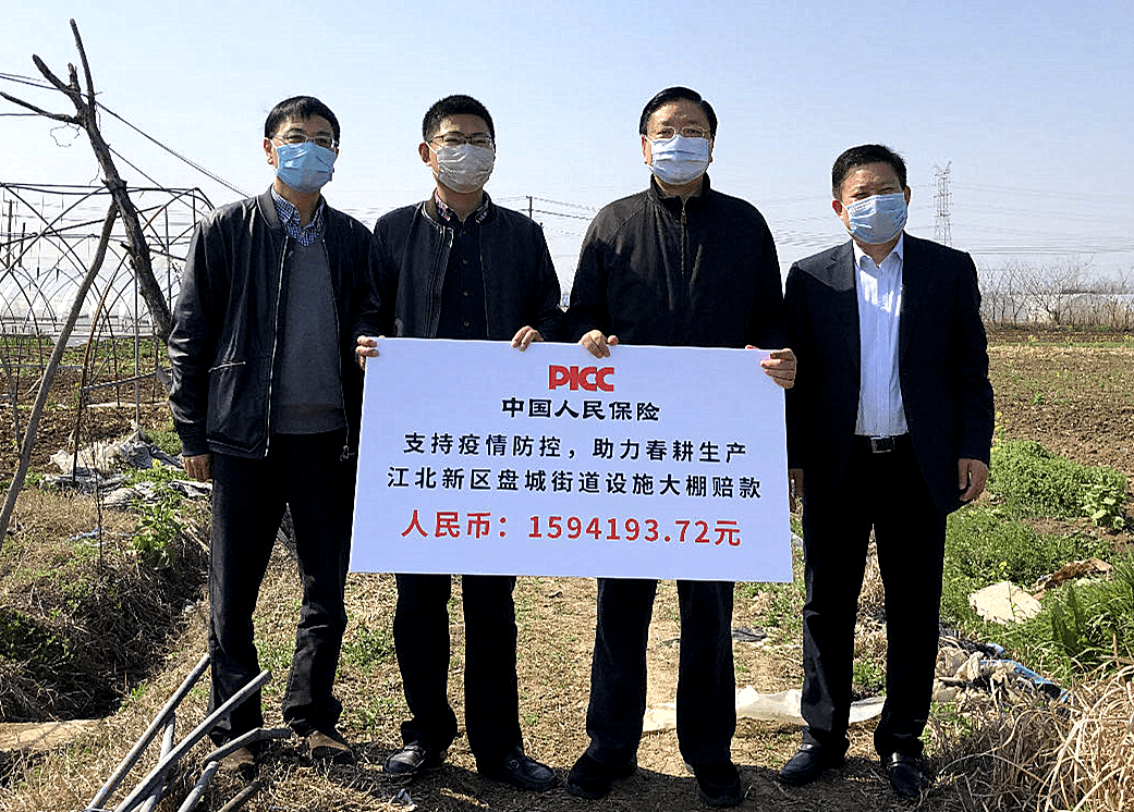 2026中国金枪鱼市场深度全景调研及投资前景分析_保险有温度,人保服务