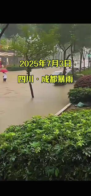 棕榈股份：截止到2025年12月31日股东户数约7.3万户