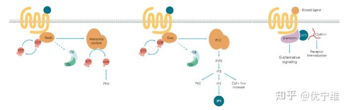 优宁维：可为客户提供单/多因子相关检测分析