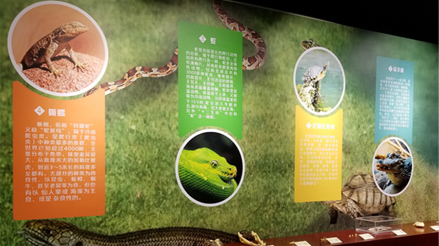 科学与健康 | 生命发育“黑匣子”、半导体新材料……这些重要科技创新有哪些秘密