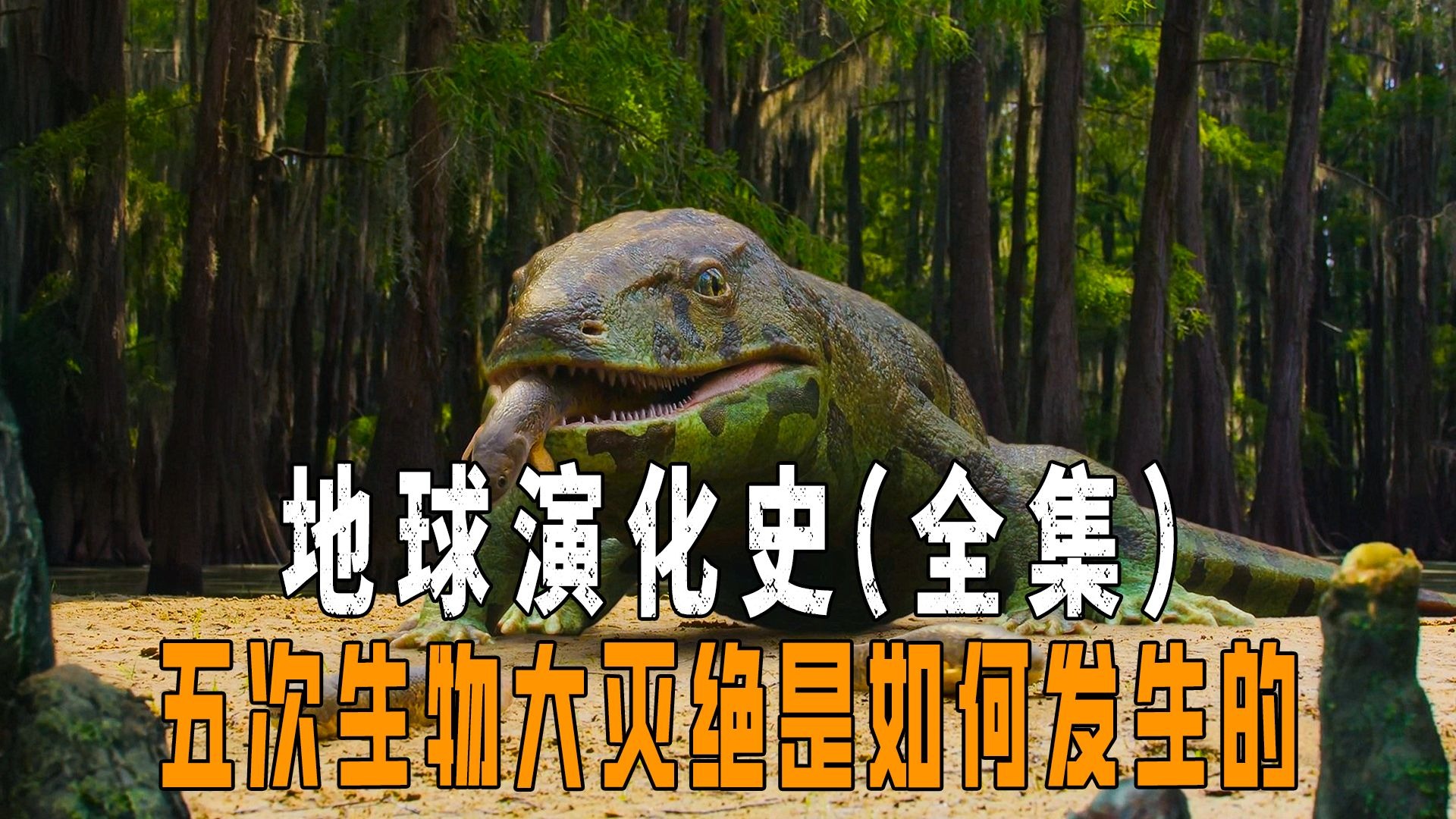 5亿年前的生物大灭绝有什么秘密？新化石群给出线索