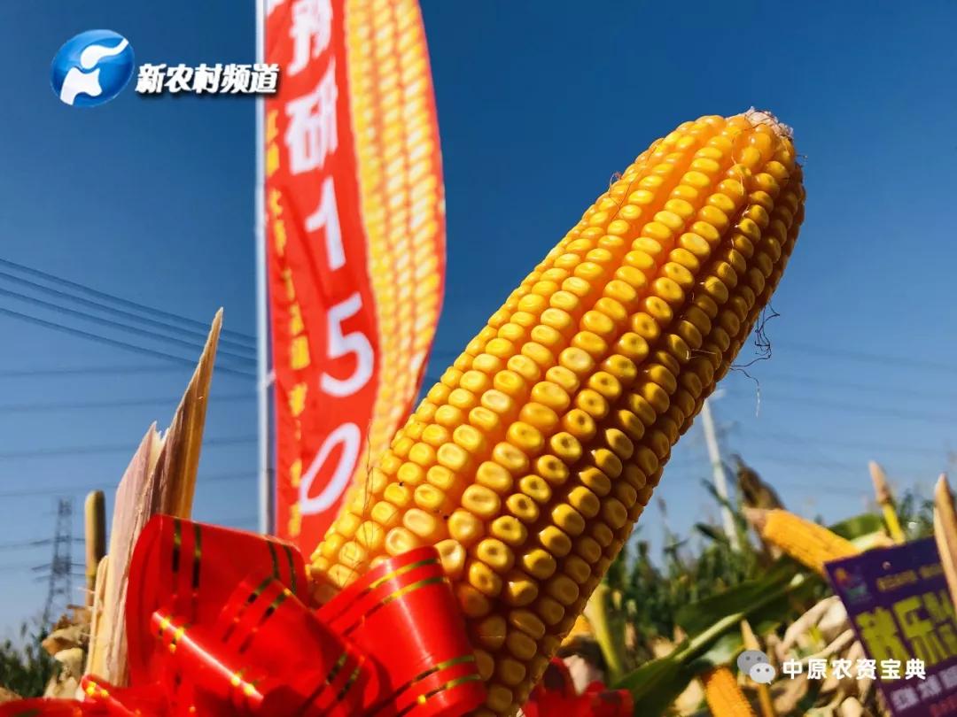 农业板块强势拉升，种业股表现亮眼，秋乐种业等大涨