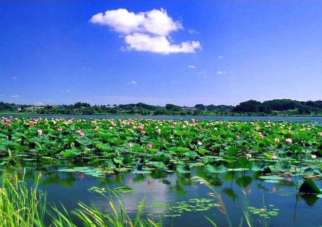 淡水泉陶冬:2026年,系好安全带,资产为王