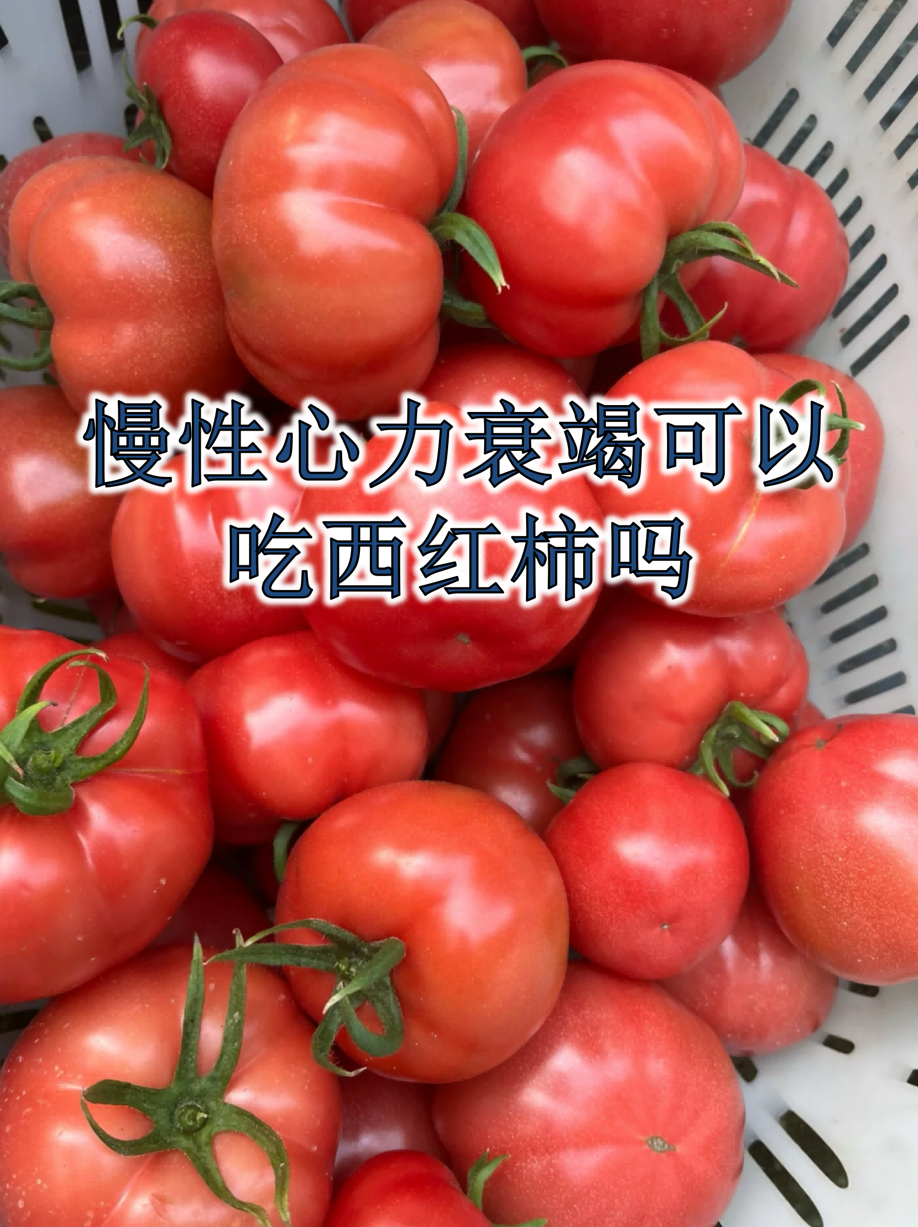 极端天气导致减产 西红柿身价同比上涨超80%