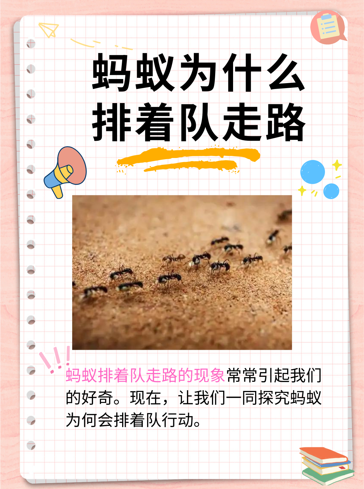 我国科研人员发现同巢蚂蚁互相攻击的原因