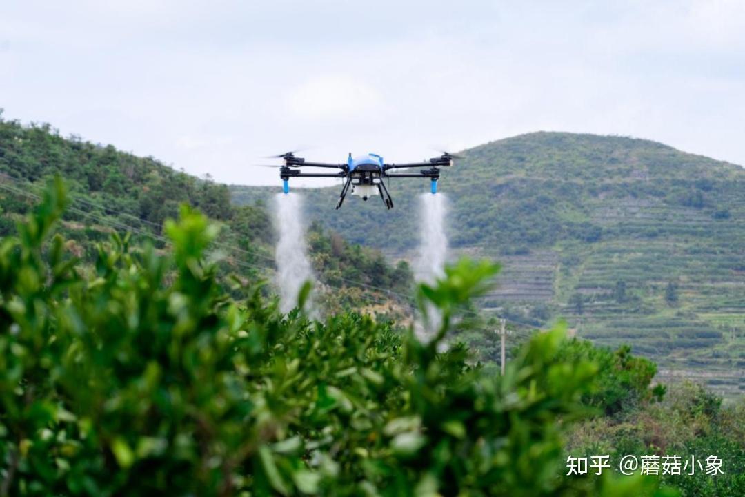 新华读报｜“新农具”有新机遇！无人机、机器人首次写入中央一号文件