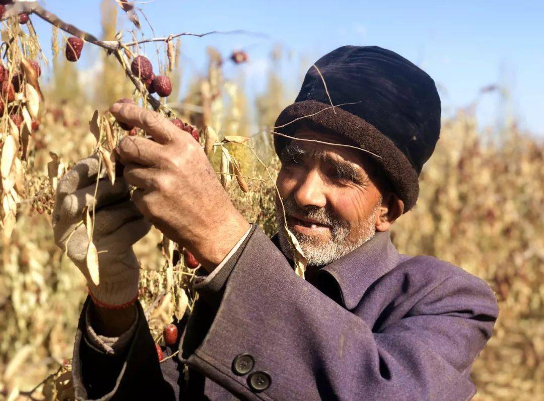 倍杰特：目前在新疆取得了4处铜多金属探矿权